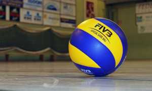 pallone volley