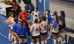 palzola pavic pinerolo