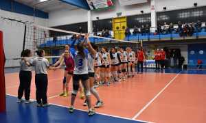 pavic 24aprile