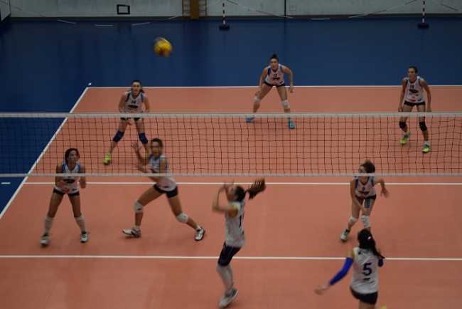 pavic bergamo