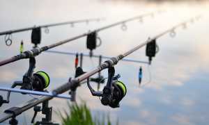 pesca