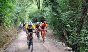 piccola roubaix