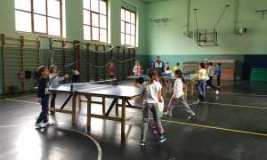pingpong