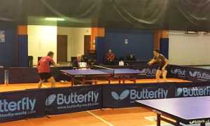pingpong
