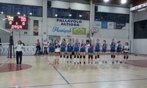 rosa altiora volley