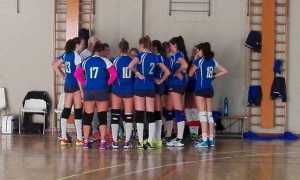 rosal ott 17