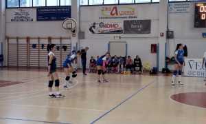 rosaltiora under18