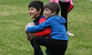 rugby mini