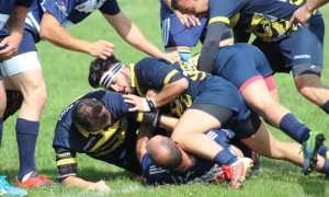 rugby vb