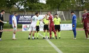 saluzzo novaromentin