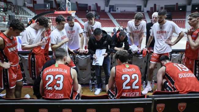 squali a Varese