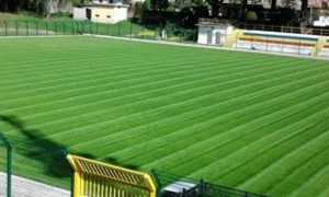 stadio pedroli
