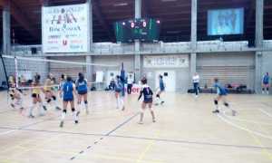 vega coppa alba