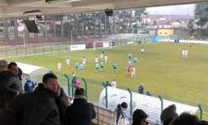 verbania trino