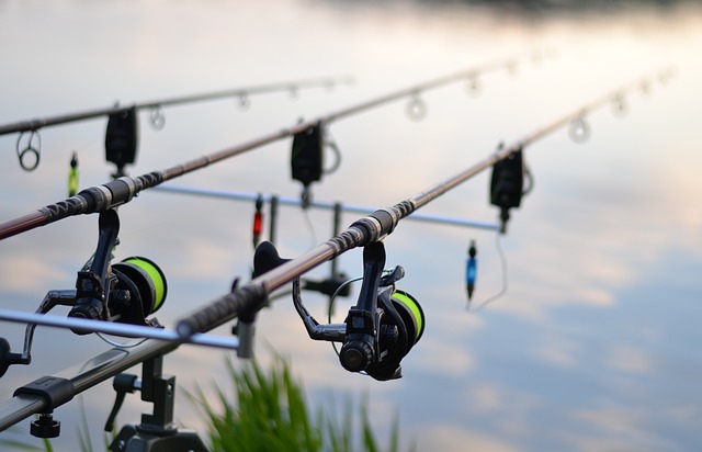 pesca