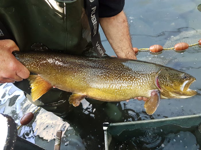 Pesctori del VCO in assemblea, sabato 