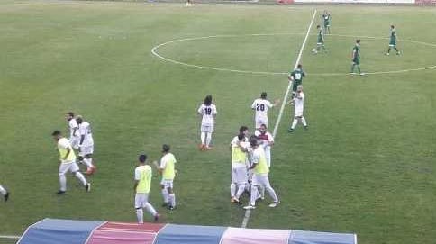 gozzano stadio