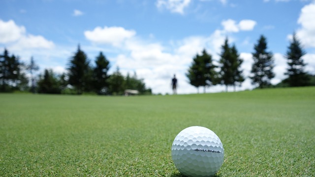 palla golf campo