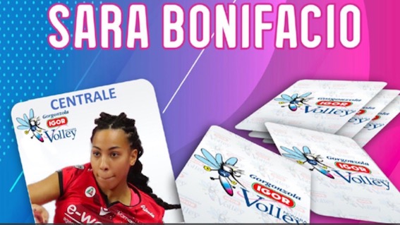 igor bonifacio