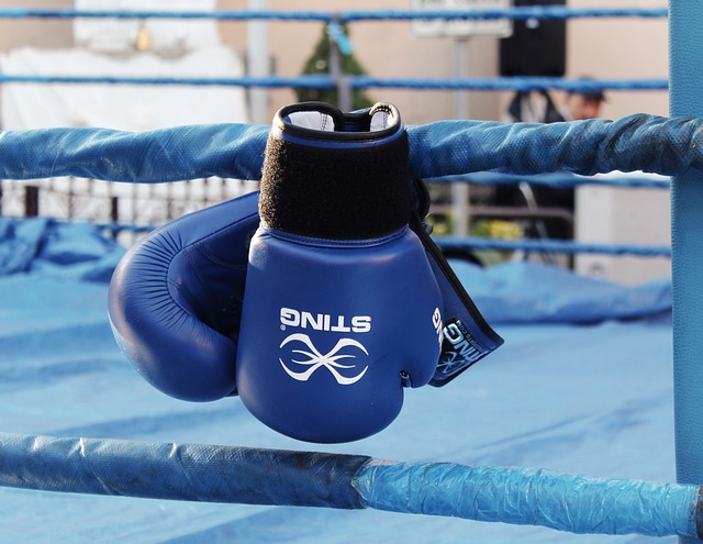 guantoni boxe