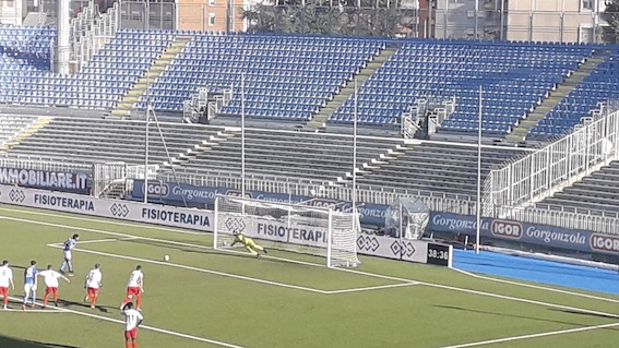 novara gelbison 1