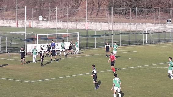 goz lav 1