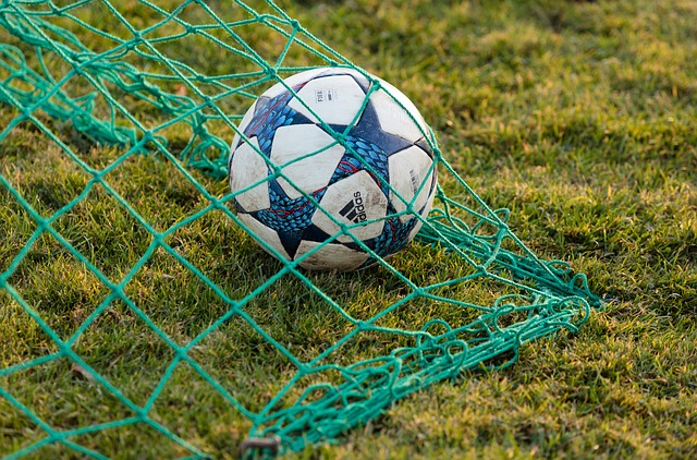 Pallone calcio rete