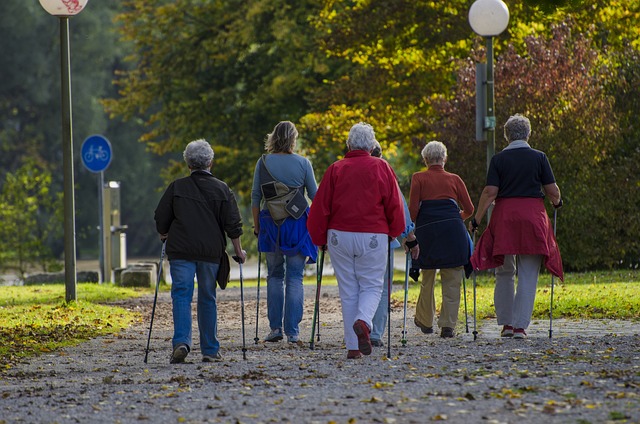 nordic walking 1814784 640